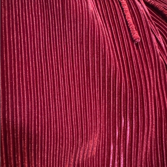 Elegant Red Pleated Women's Shorts - Picture 4 of 6